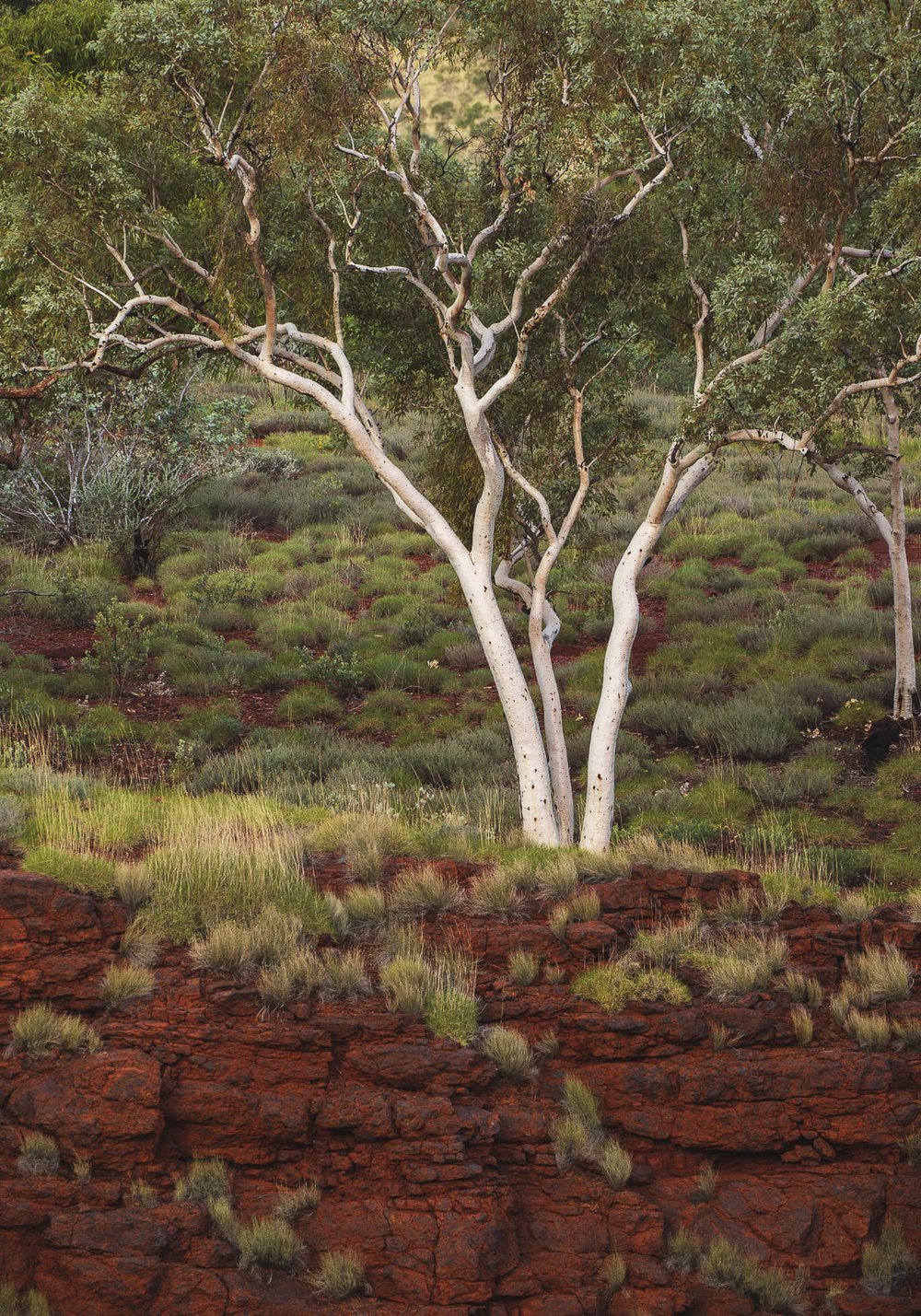 Karijini-Outback-Australia-15.jpg