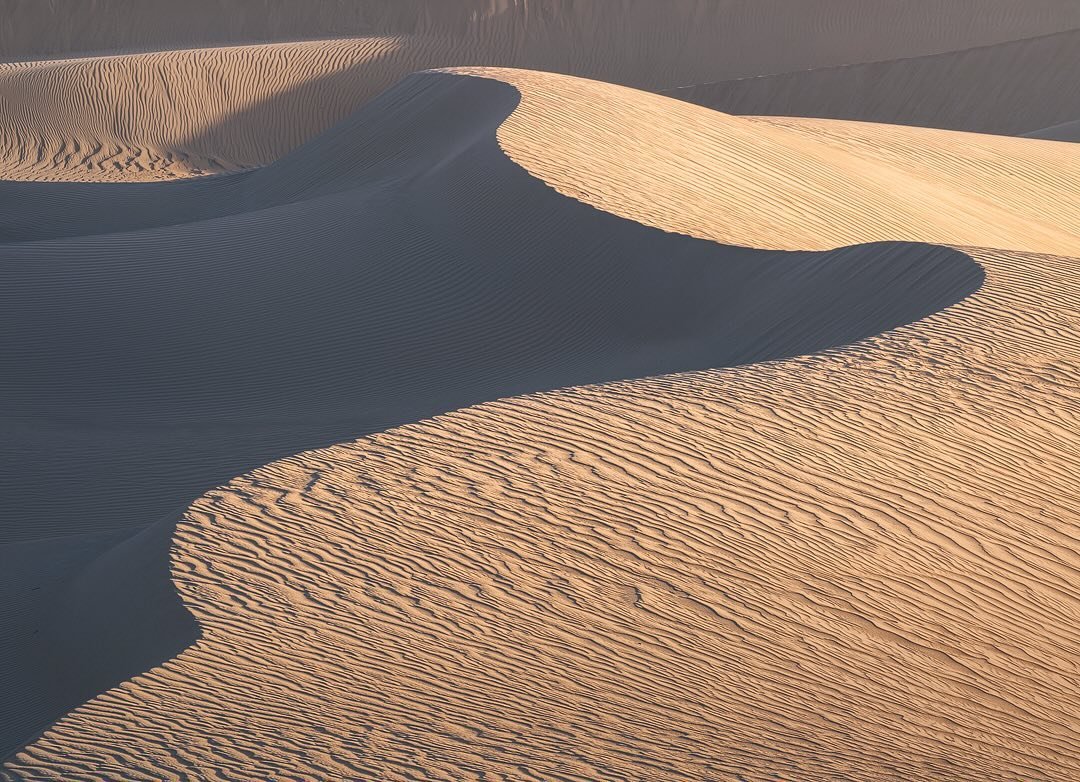 The Dune Sea 🌊