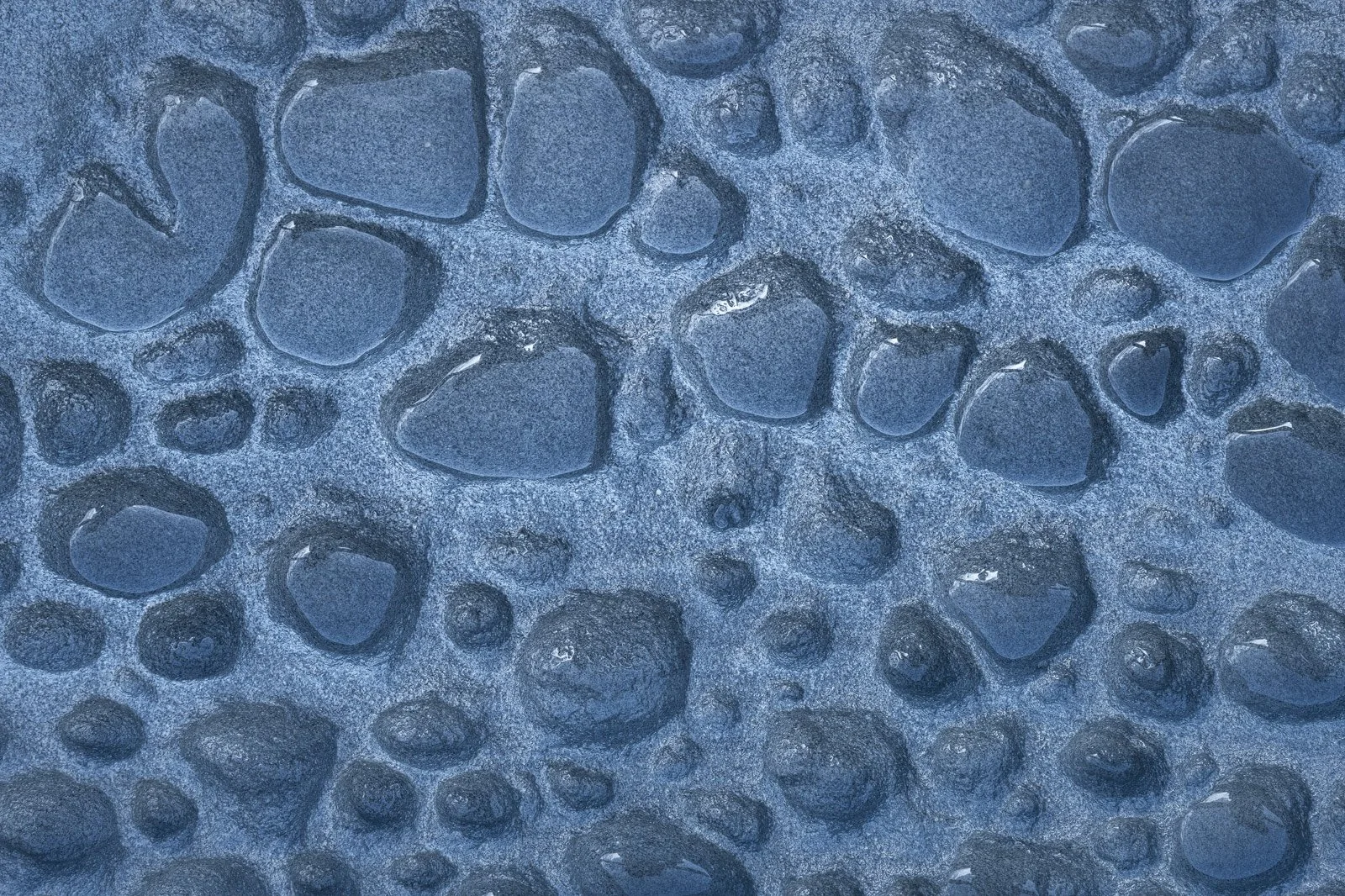 Honeycomb Blues • Picnic Point, NSW