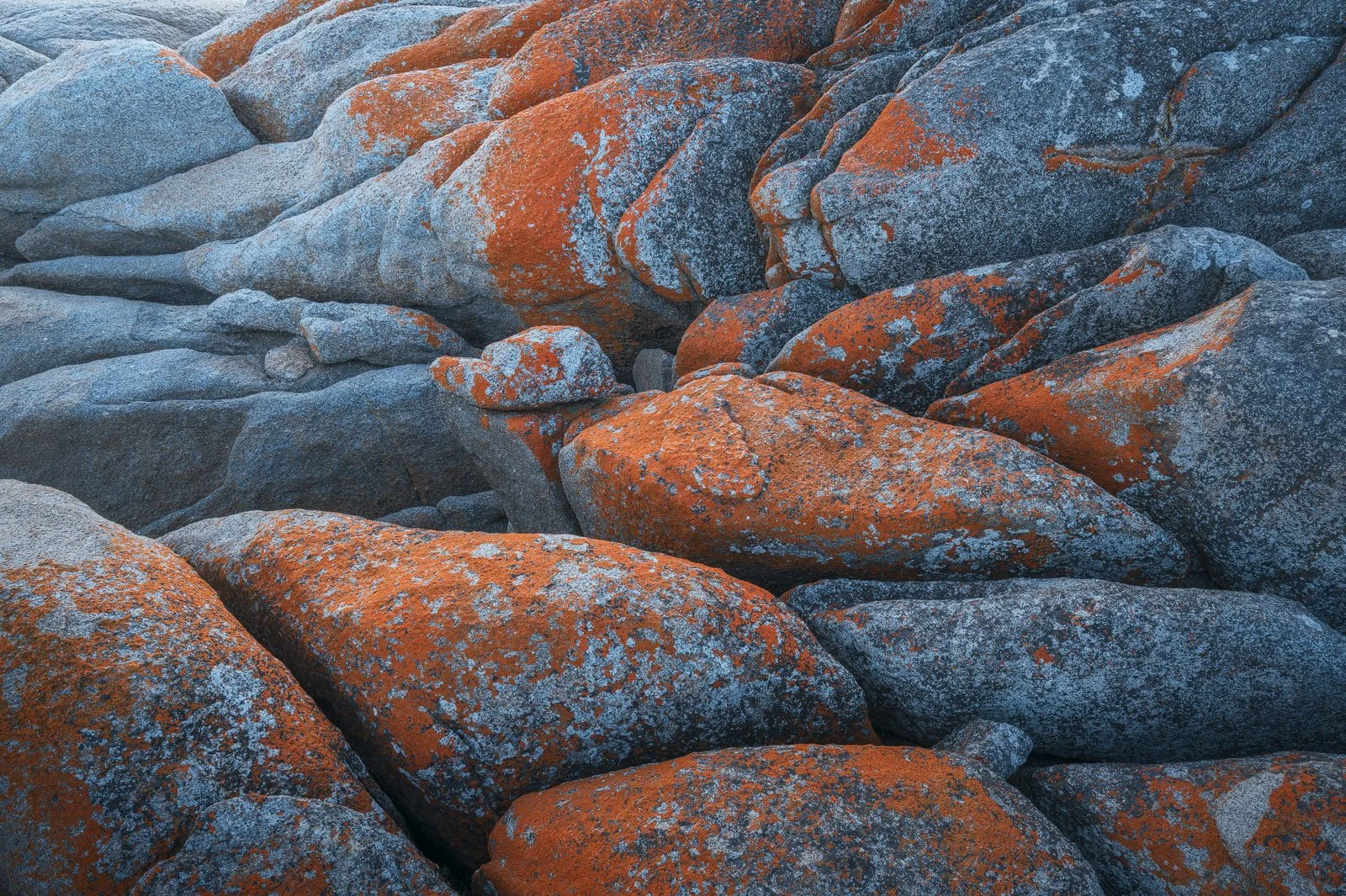Boulder Blaze • Bay of Fires, Tasmania
