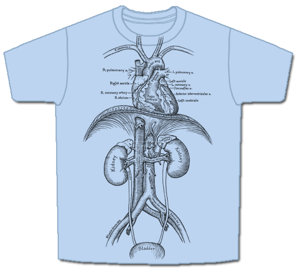 Cardiovascular system (Heart)