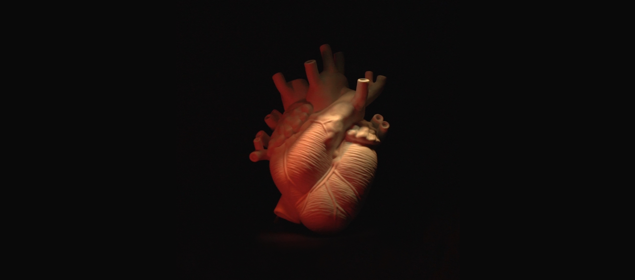 Screenshot 2020-05-06 at 00.55.26.png