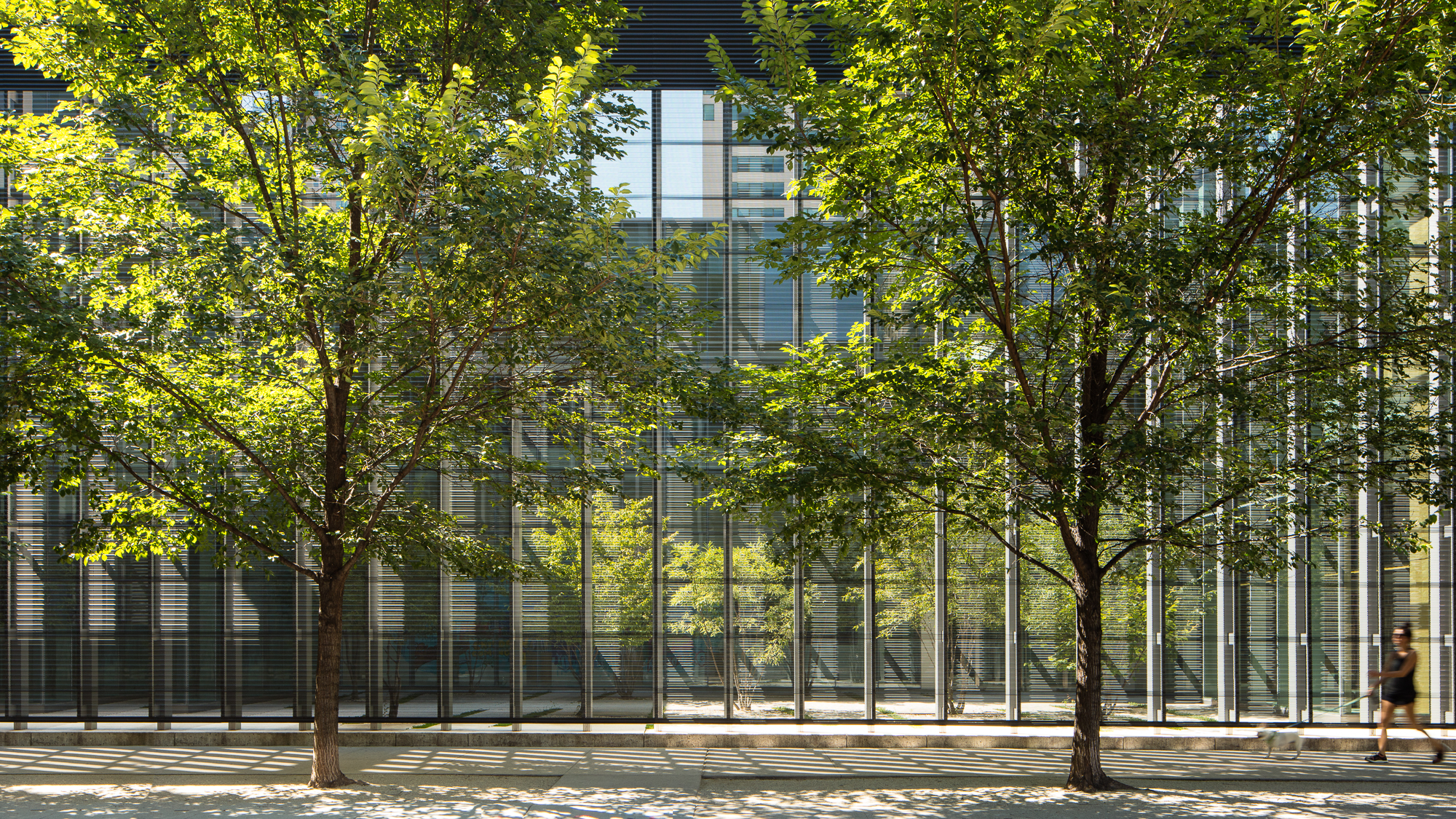 John Ronan Architects_Poetry Foundation FINALS_WEB-RES_02.jpg