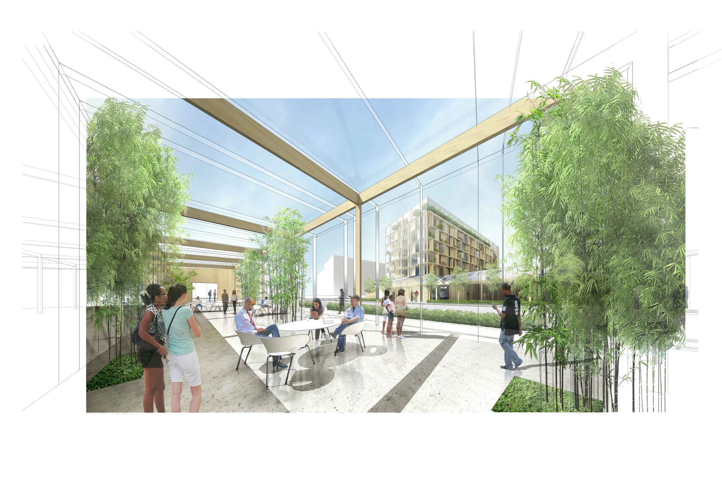 view_int_winter garden.jpg