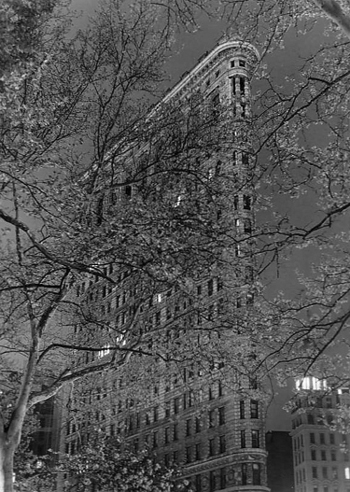   Michael Magill The Flatiron Building New York City  
