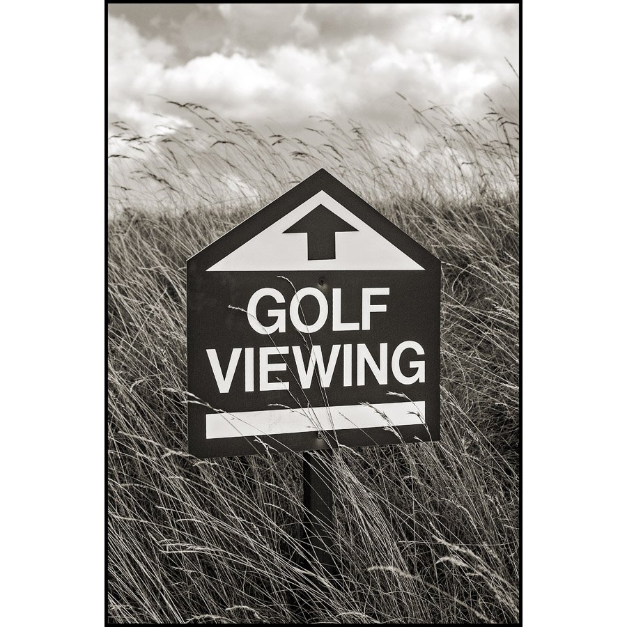 WS04_GOLF-VIEWING_0104_BW_45x30_IG.jpg