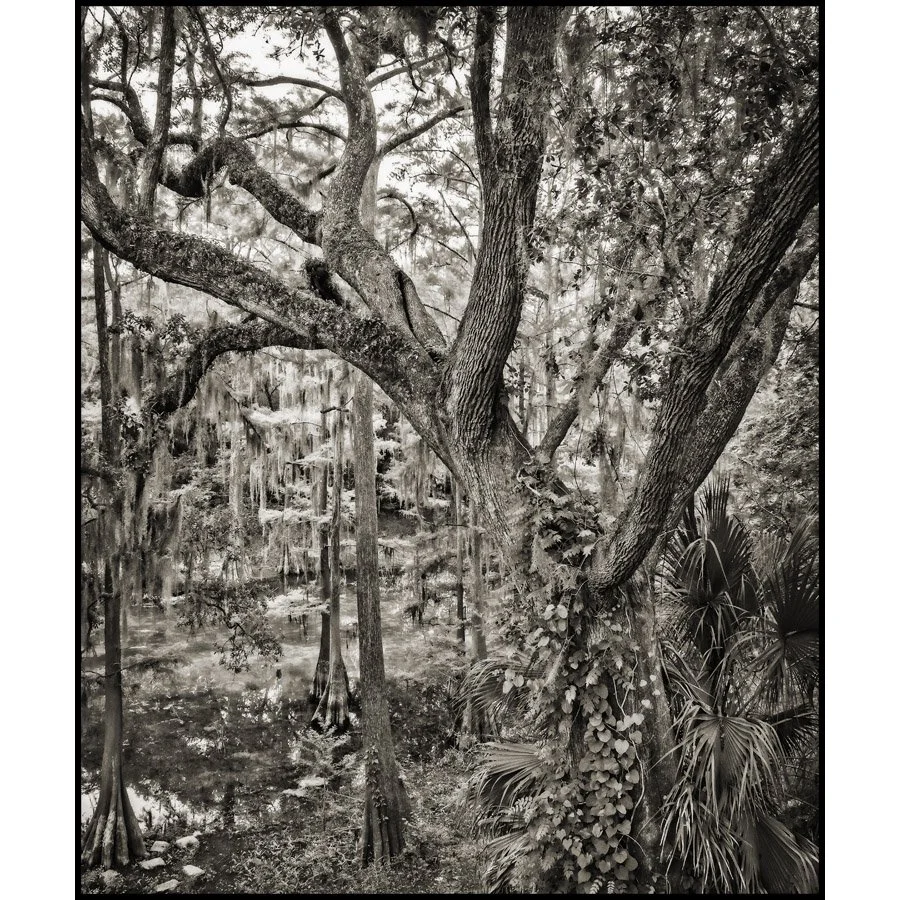 GA13_RADIUM-SWAMP_9678_BW_IG.jpg