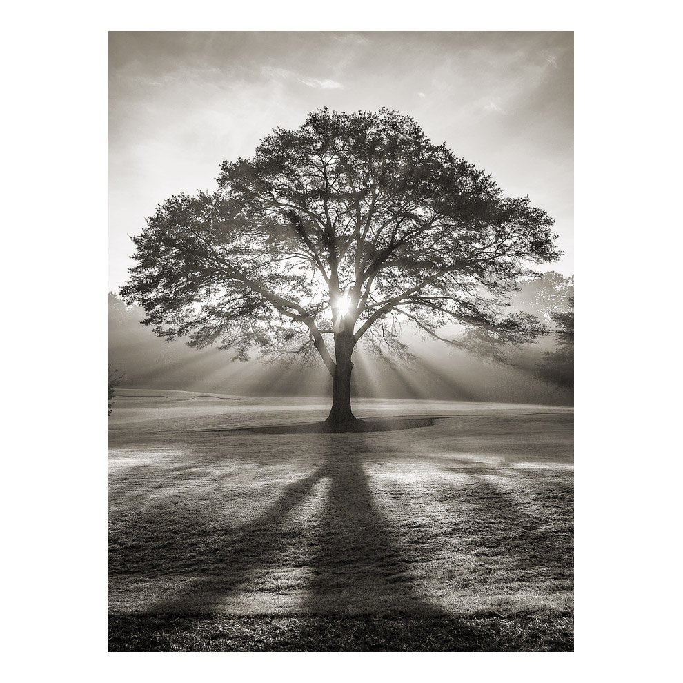 AGC04_MORN-LIGHT_0043_40x30_IG.jpg