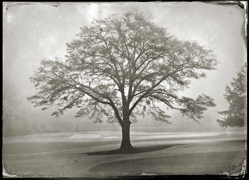 AGC-4-FOG-SEPIA_s.jpg