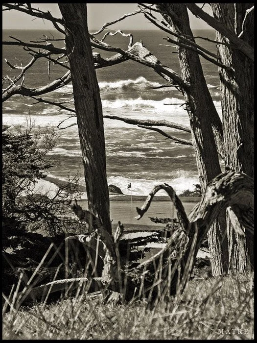 CP06_15_7546__BW_s.jpg