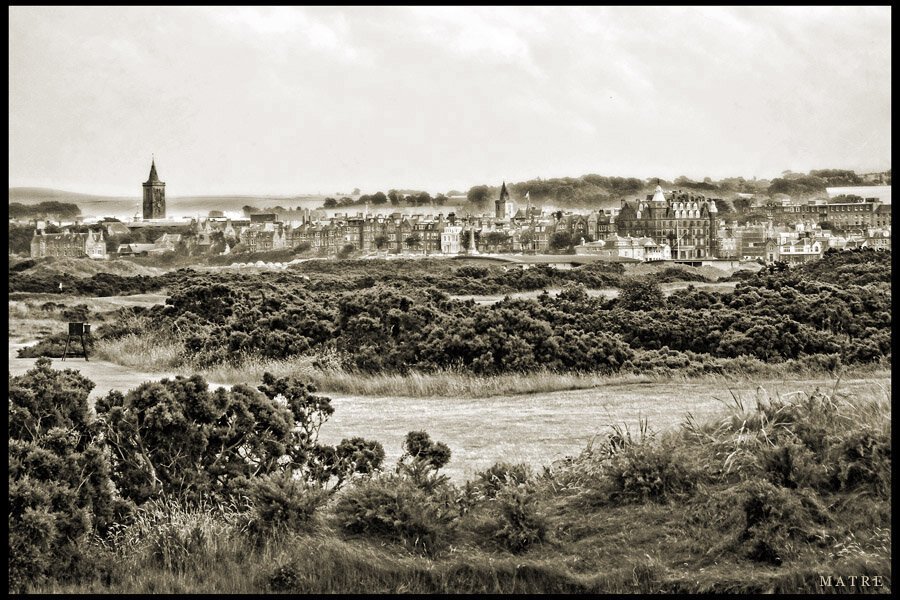 OLD14_TOWN_9647_s.jpg