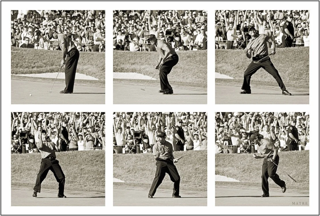 TIGER+SEQUENCE+24x36+s.jpg