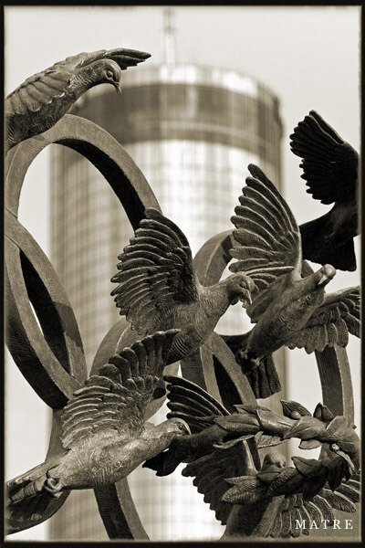 atl05olympic_doves5866s.jpg