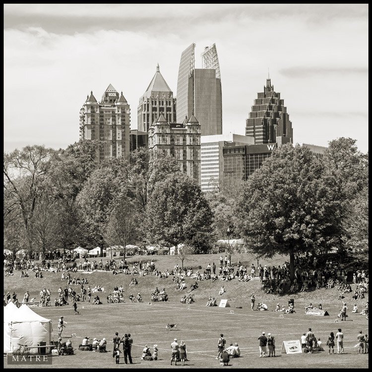 ATL15_DOGWOOD_4419_s.jpg