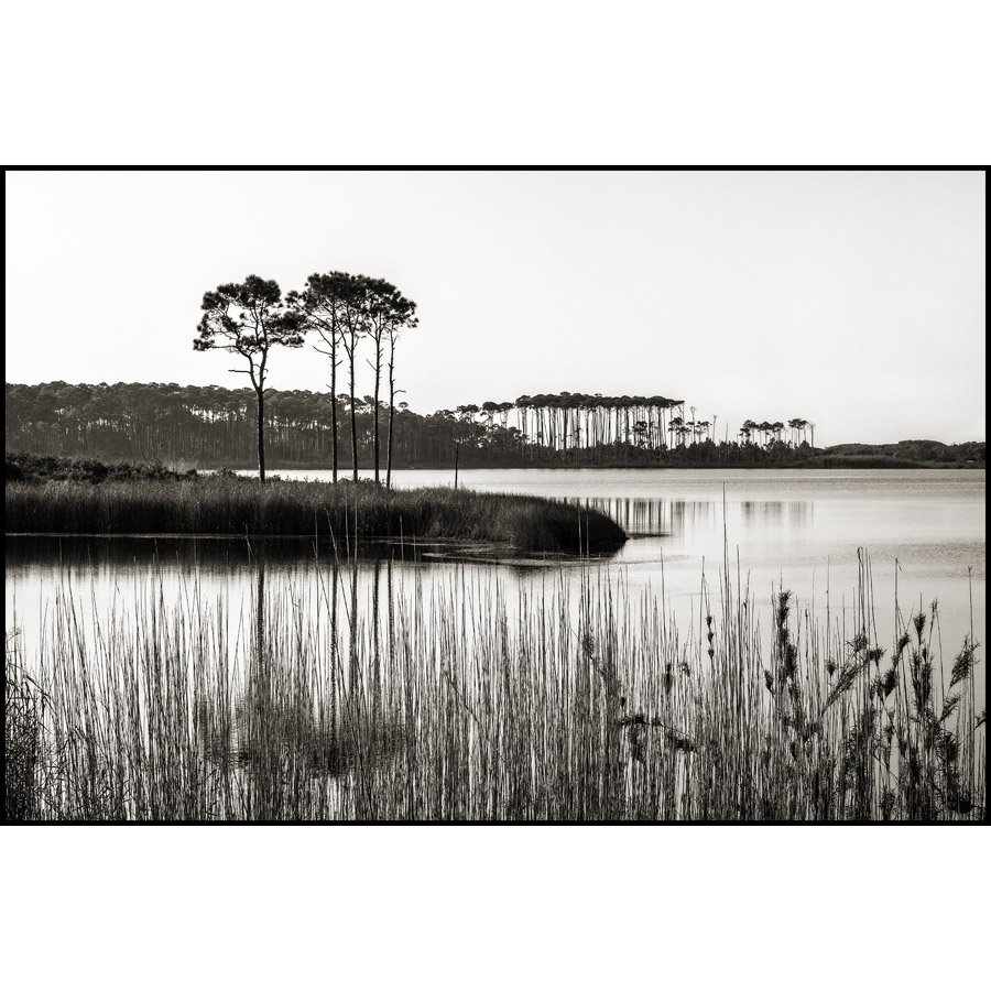 FL13_WESTERN-LAKE_0387_BW_IG.jpg