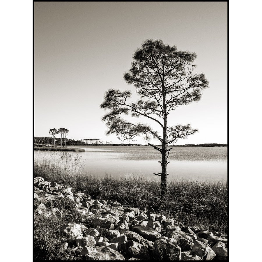 FL12_WESTERN-LAKE_4346_BW_IG.jpg