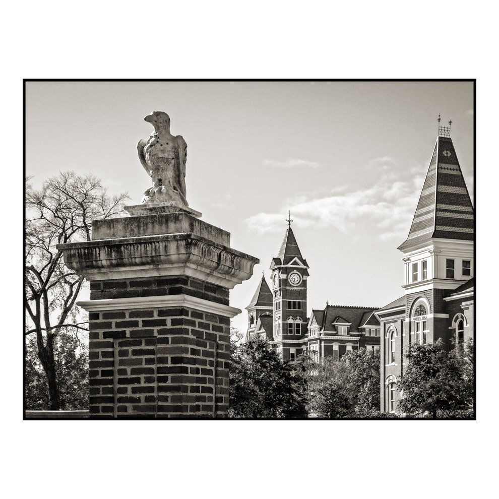 AUB19_WAR-EAGLE_0731_IG.jpg
