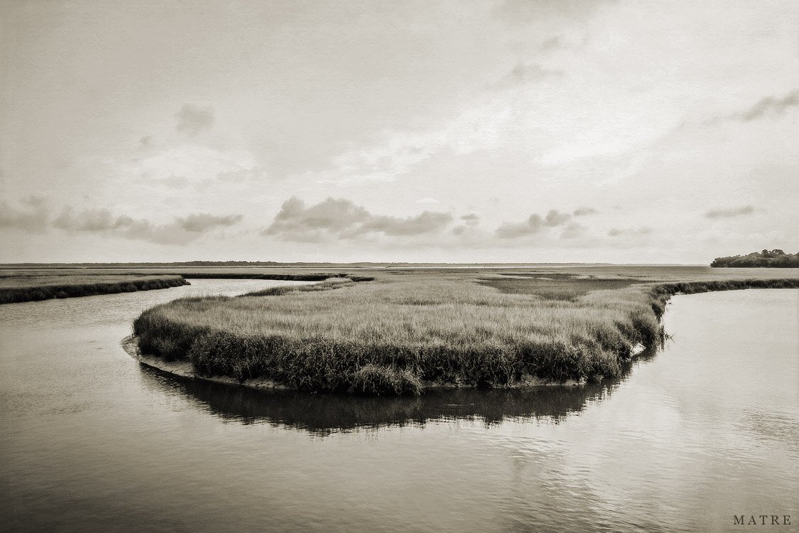 FL10_OAK-MARSH_8472_BW_s.jpg