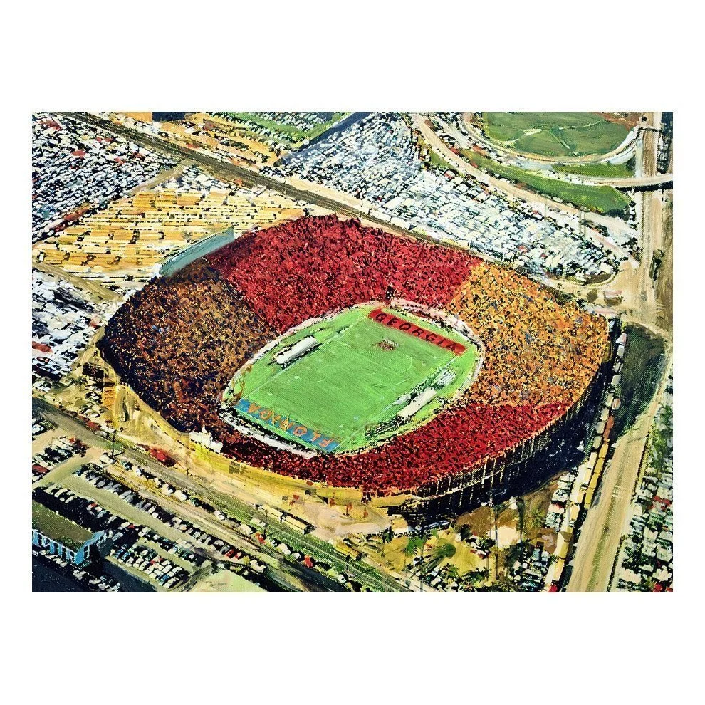 GEORGIA-FLORIDA IN THE GATOR BOWL