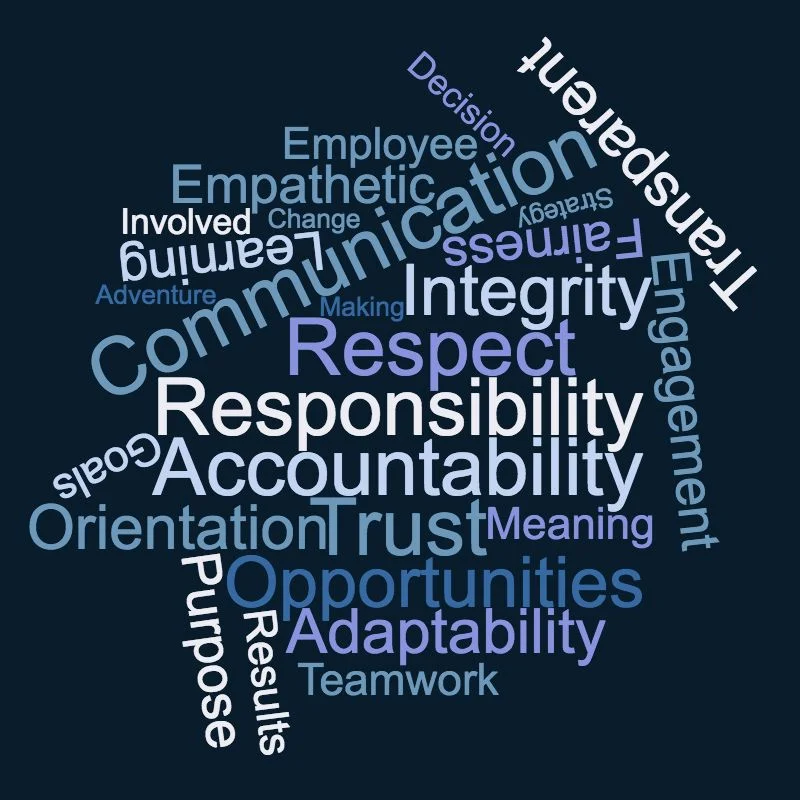 wordcloud (4).jpg
