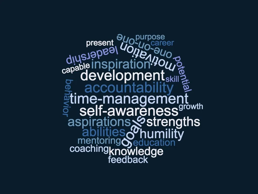 wordcloud (5).jpg