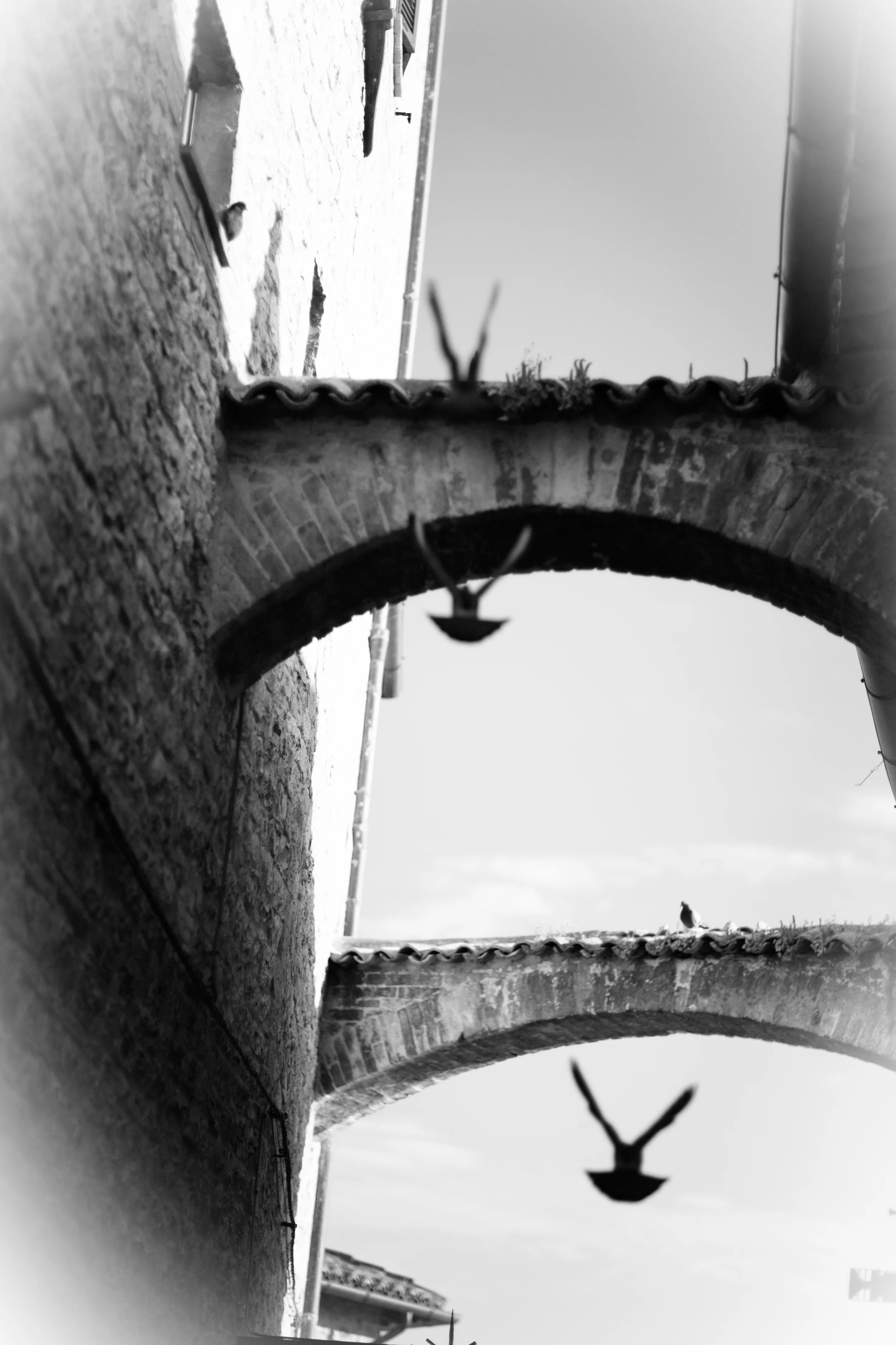 Jeremie Barlow Photography --41.jpg