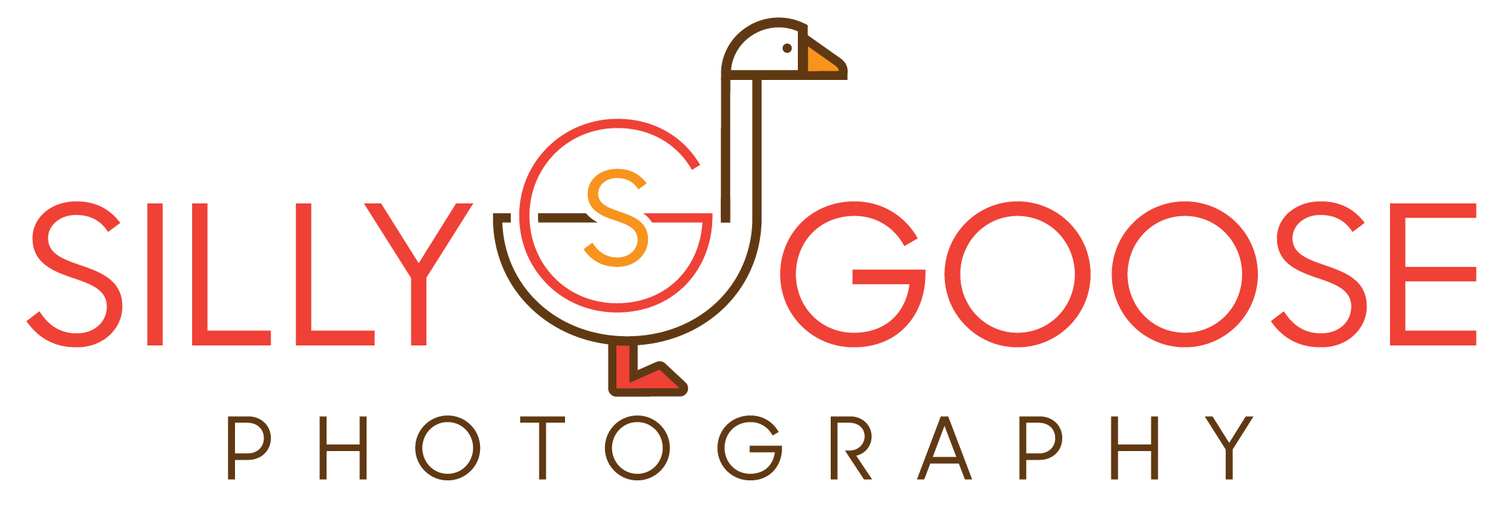 Silly Goose Photography