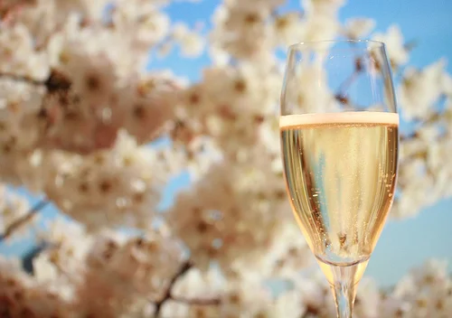 New Champagnes for Spring