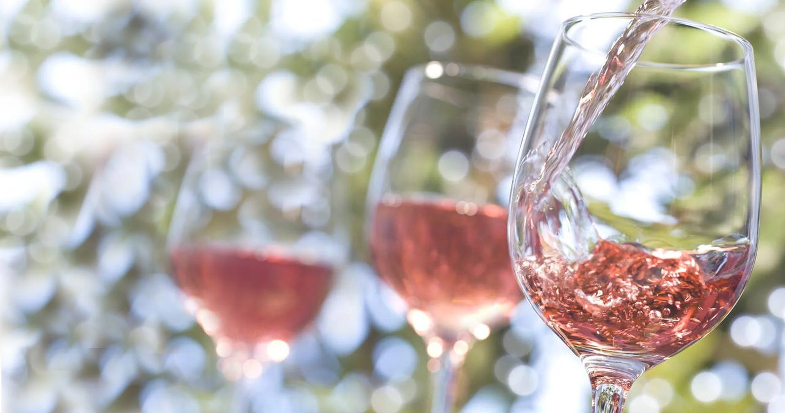 National Rosé Day Celebration