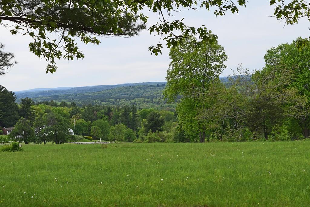 Conservation Coffee Chat