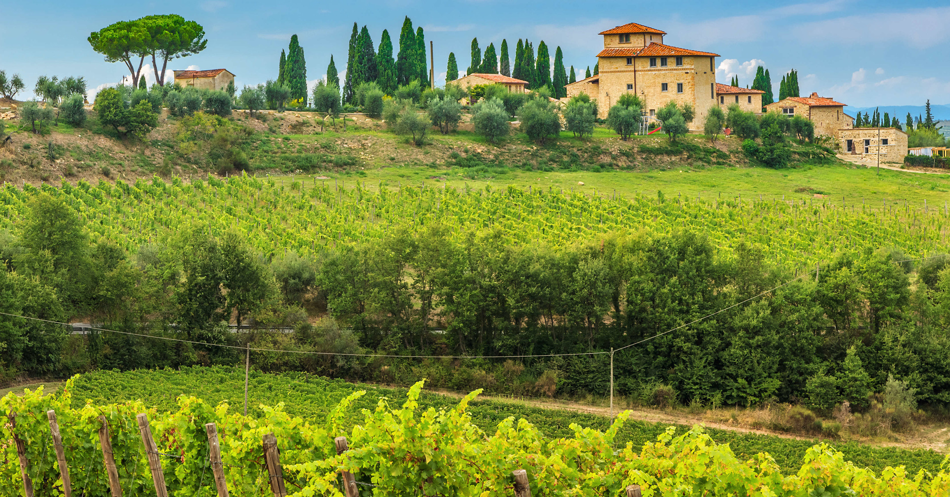Italian Summer Wine Tasting