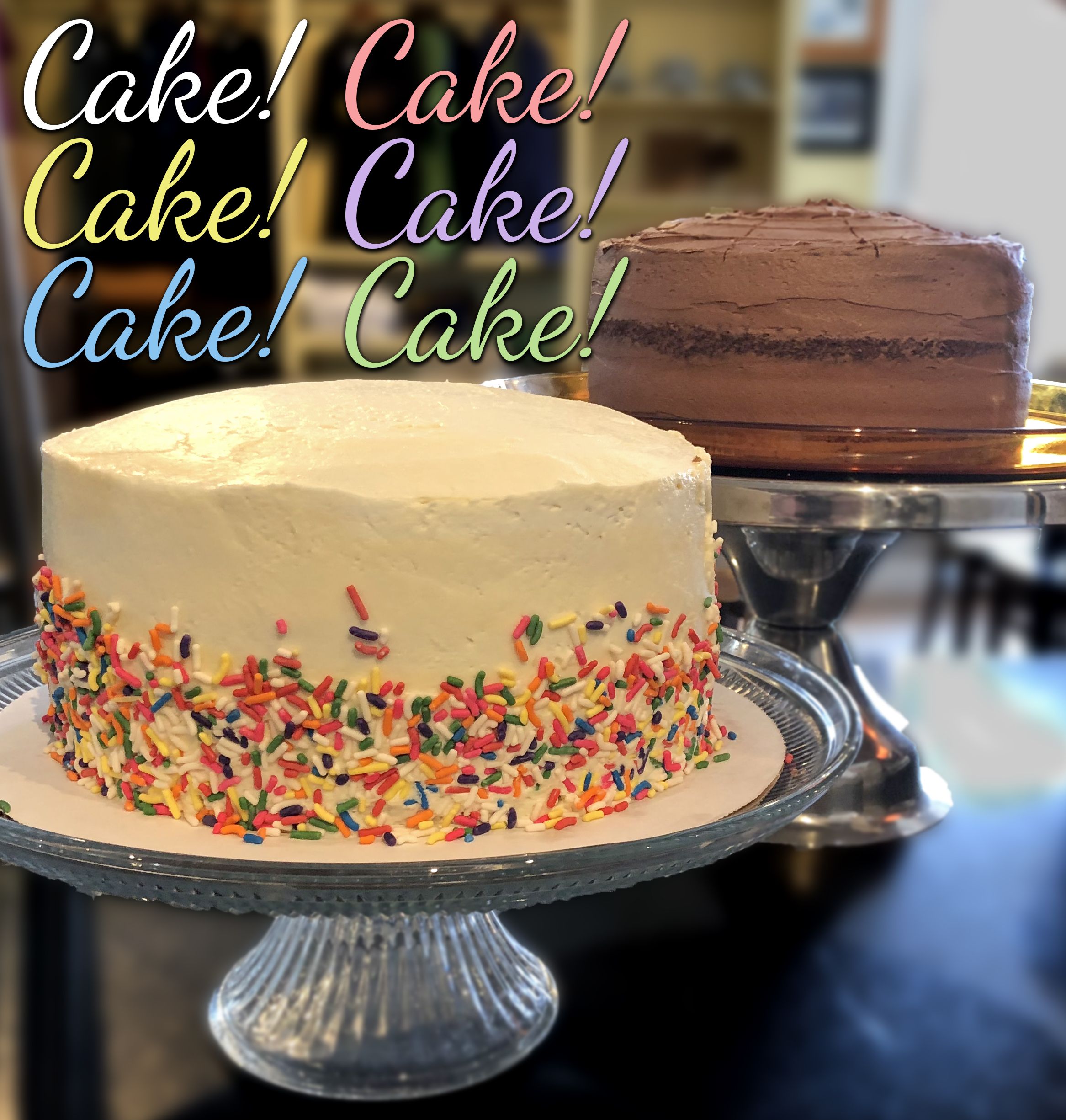 cake-choc-vanilla.jpg