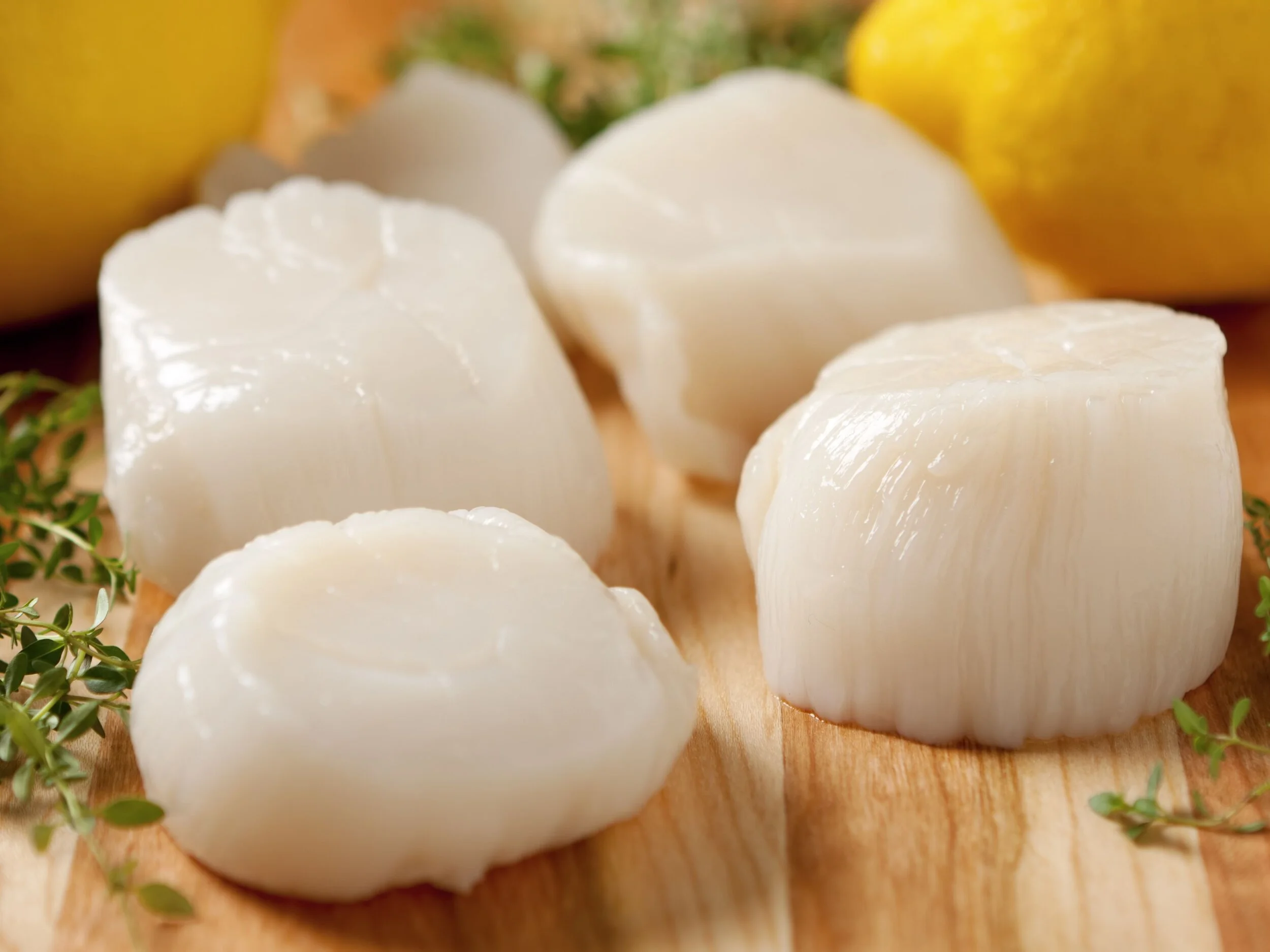 fresh-sea-scallops-154961718-582140443df78cc2e843df74.jpg
