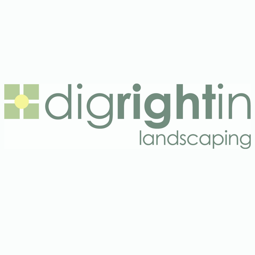 Merch Sponsor (Copy)