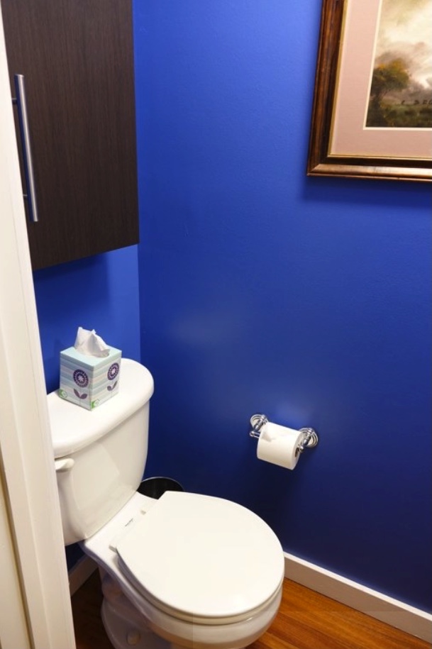 Half bathroom "before" - toilet side