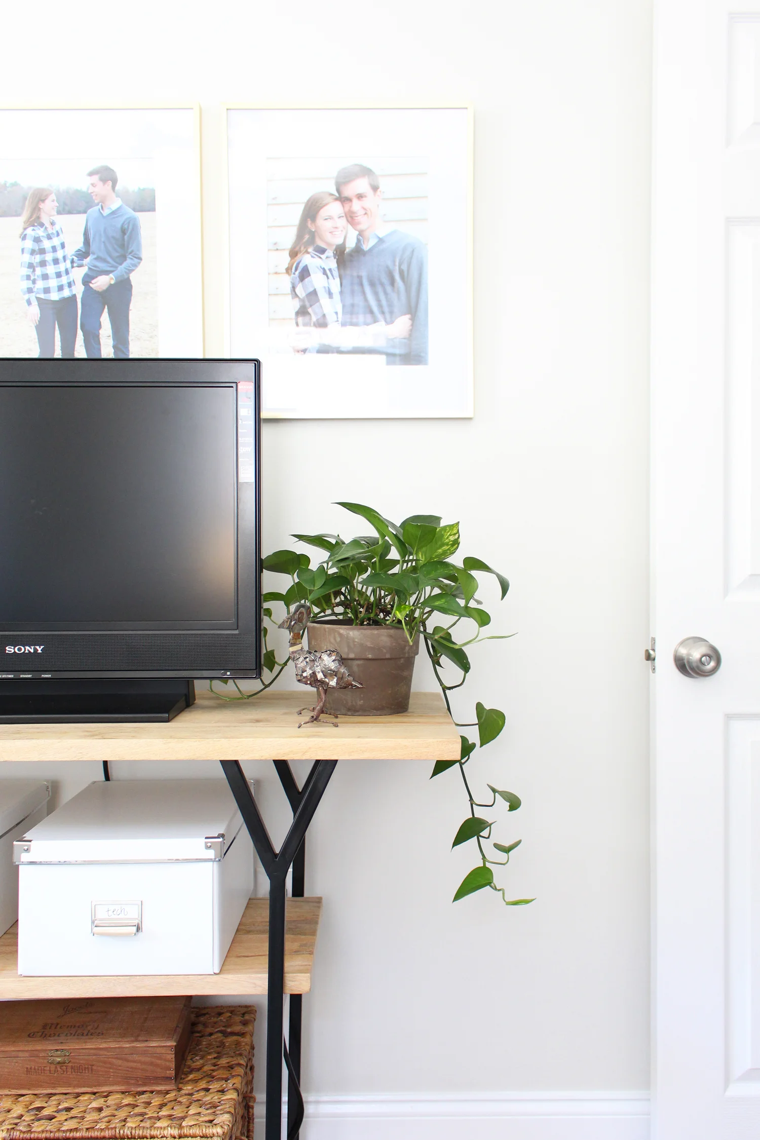 Plants bring so much life to a space!