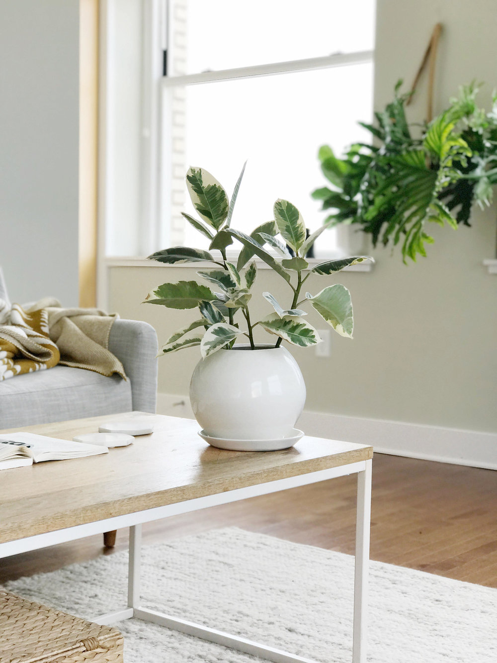 Come "Meet the Maker" behind Convivial Production - a modern ceramics company. 