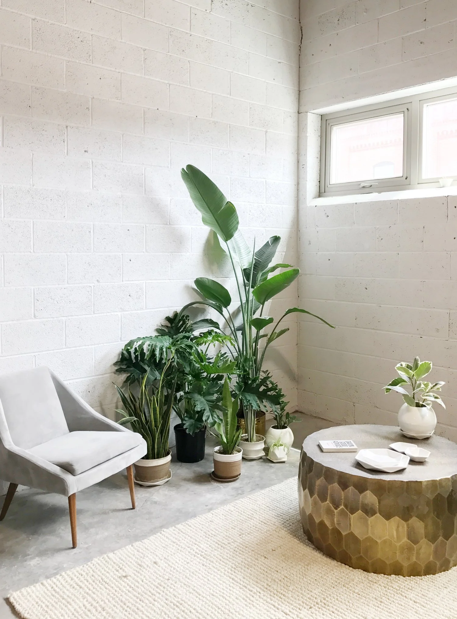 Come "Meet the Maker" behind Convivial Production - a modern ceramics company. 