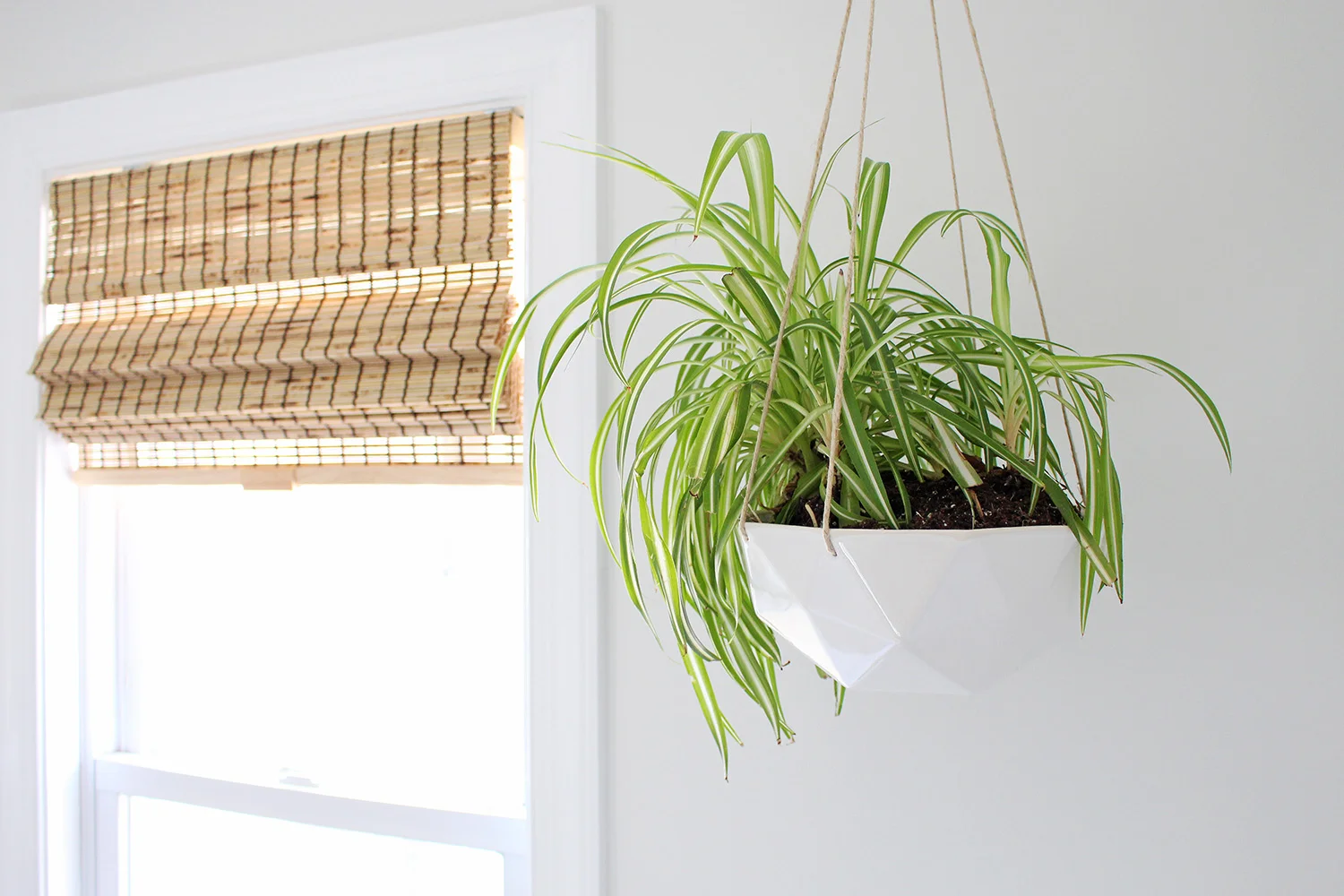 Gorgeous hanging planter from Convivial Production - a designer and manufacturer of modern ceramic home and garden wares. | Mix & Match Design Company's home office 