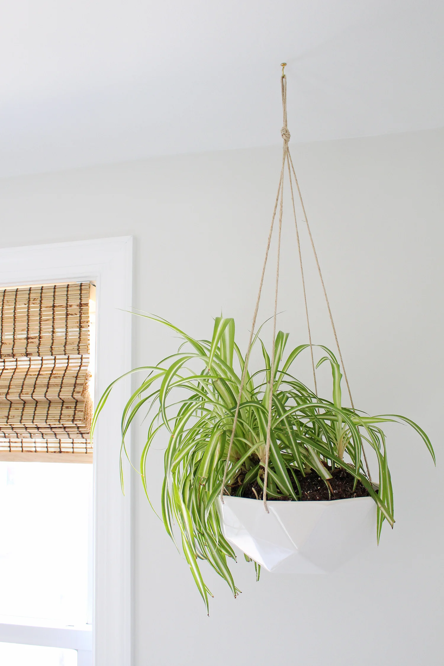 Gorgeous hanging planter from Convivial Production - a designer and manufacturer of modern ceramic home and garden wares. | Mix & Match Design Company's home office