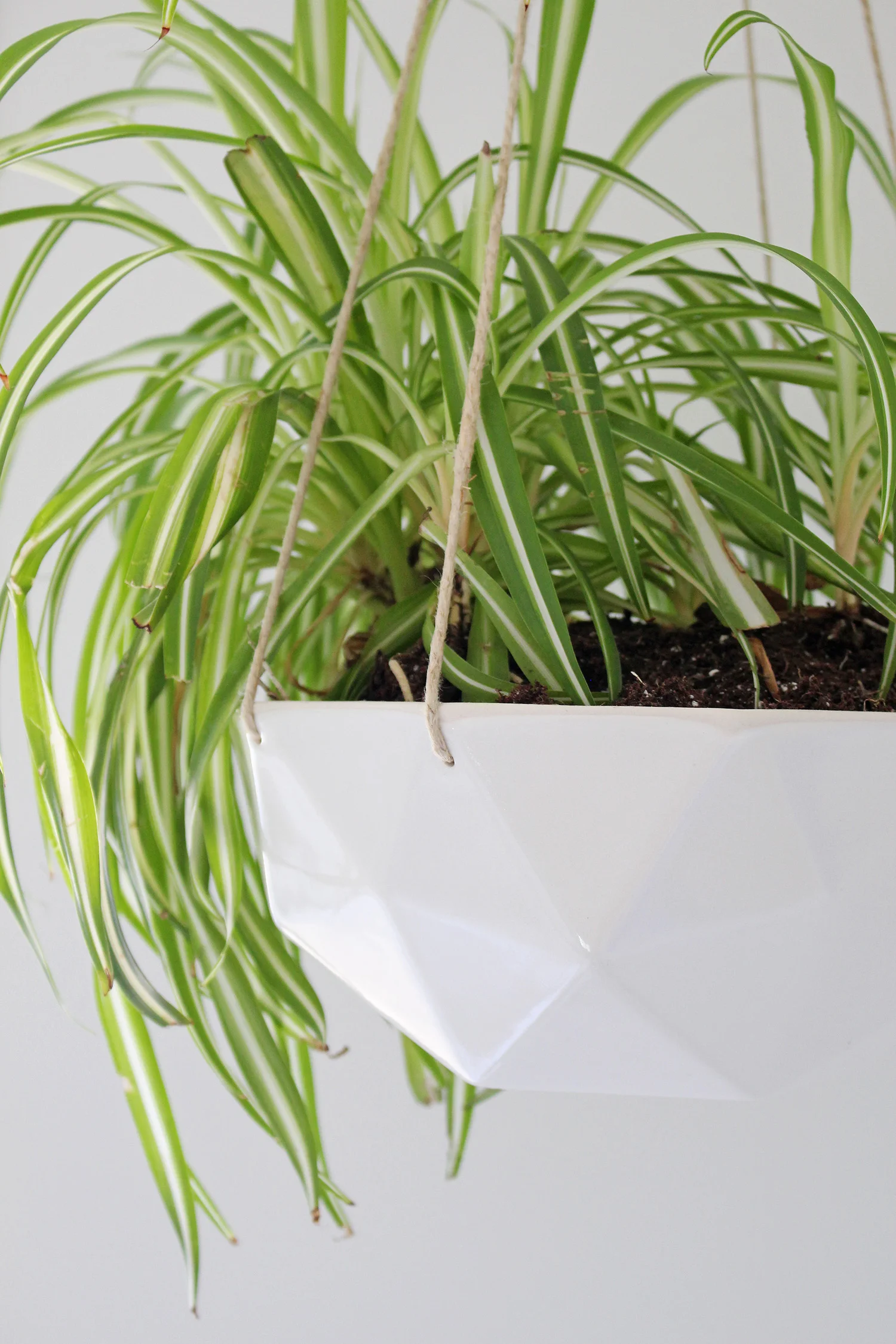 Convivial Product's 2V Geometric Hanging Planter looks beautiful in Mix & Match Design Company's modern home office! | houseplants, indoor plants, hanging plants, plants as home decor