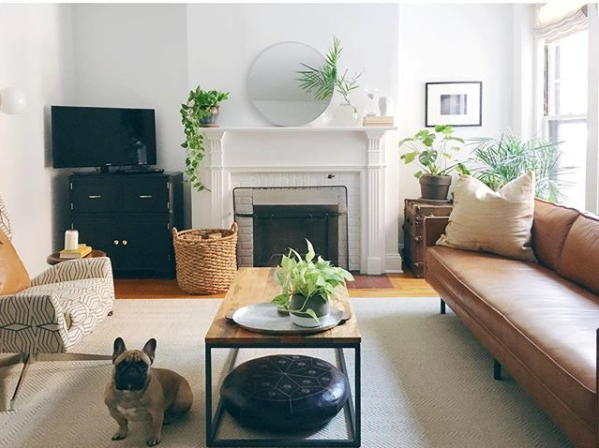 Plants-Mid-Century-Living-Room-2.png