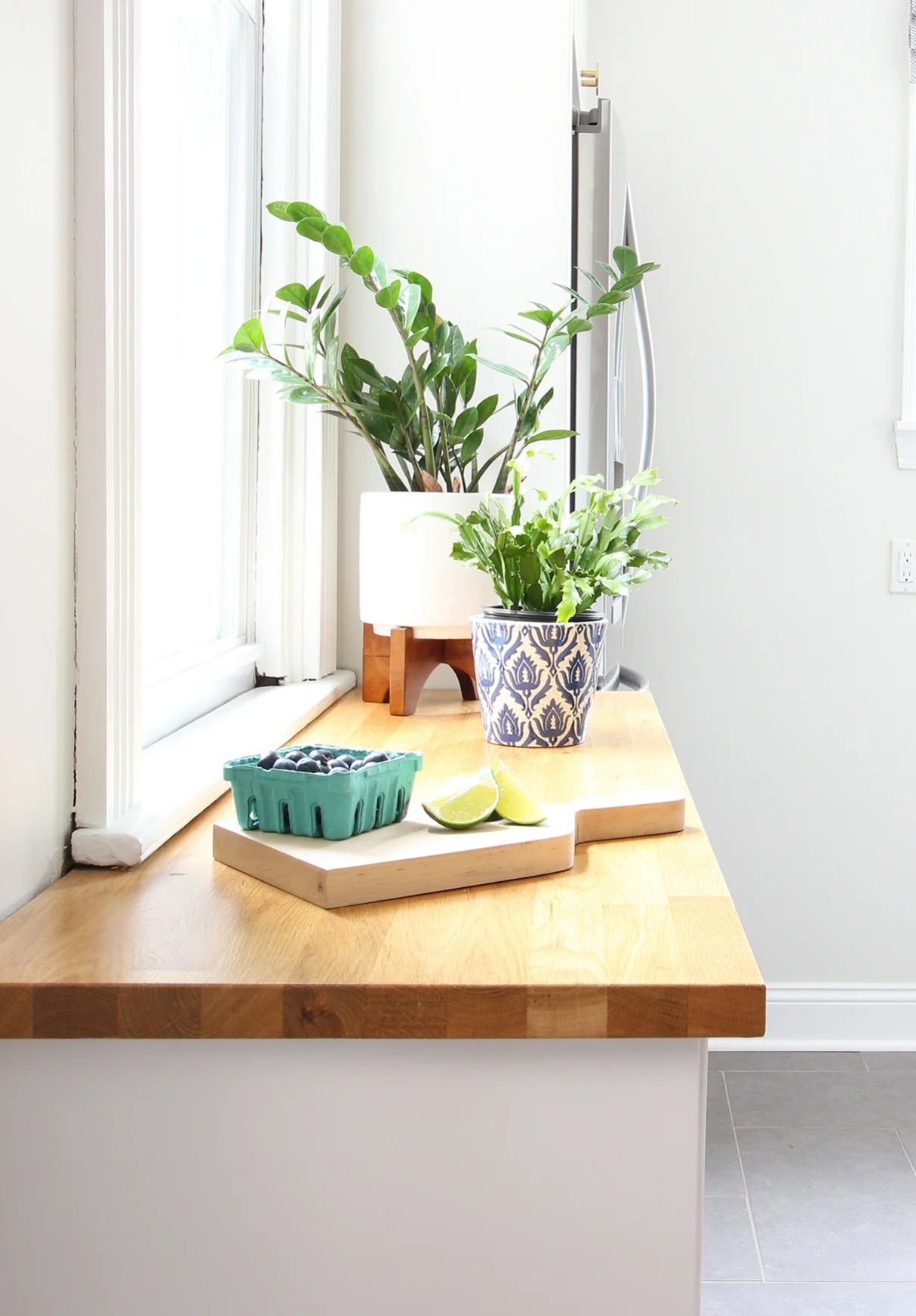 Give your plant a pretty home with a modern planter or pretty pot! Here I have a ZZ plant in a mid-century modern planter on a stand and a Christmas Cactus in a blue and white ceramic pot. 