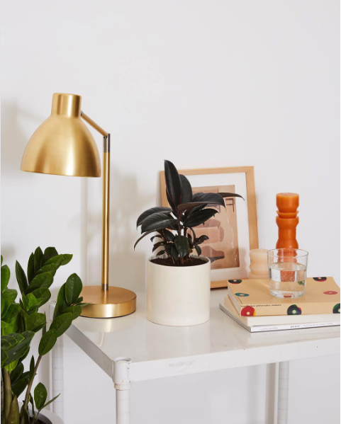 Decorate your home with plants! The Sill is one of my new favorite online sources for plants if you don't have a good local spot. If you need a modern planter for your new green friend, be sure to check out my roundup of planters on the blog!