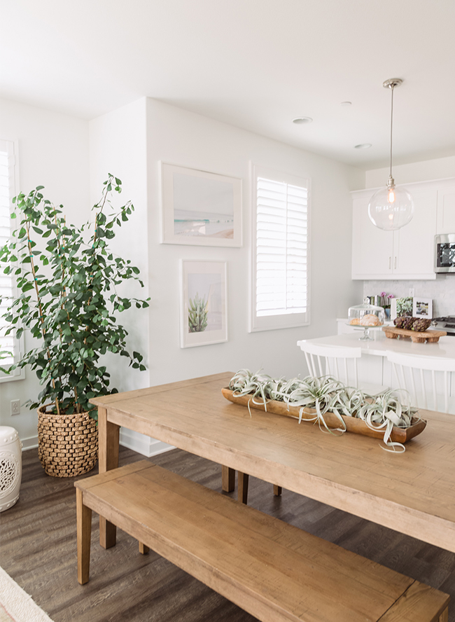 A modern coastal dining room with benches for seating. Love the air plants in the middle of the table too! For more ideas on how to use benches in your home, head to the blog post!