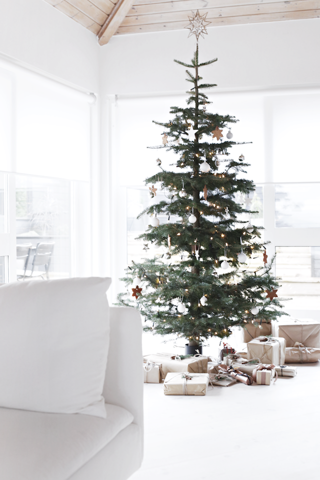 https://images.squarespace-cdn.com/content/v1/55cb6a03e4b08dc9aca94598/1543265833552-MHQ9K13R6ZELPOPRJ4OK/Sparse-Simple-Scandinavian-Christmas-tree_stylizimo.png