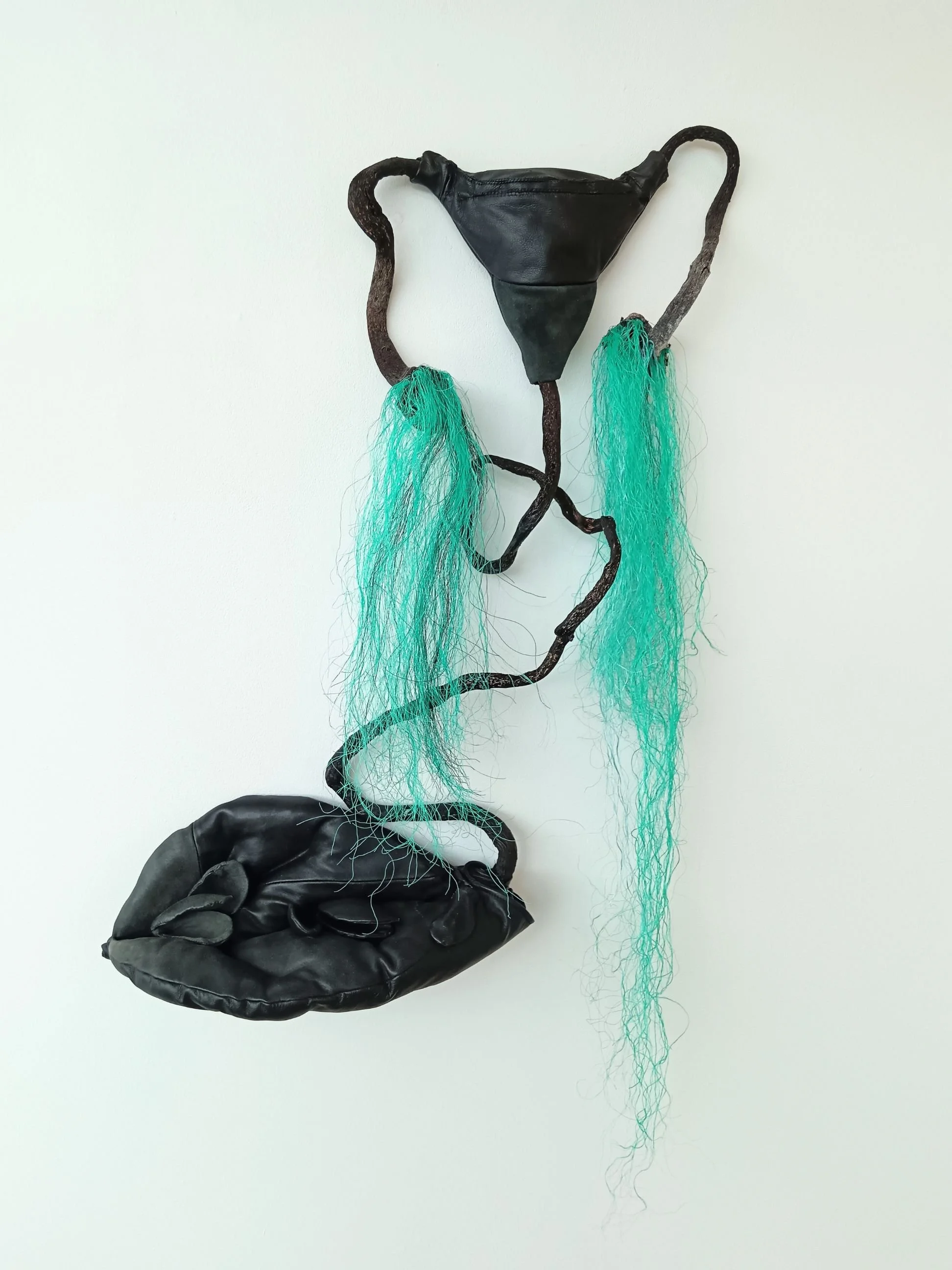   TUNTEMATON PERIMÄ / UNKNOWN GENETICS   2026  nahka, levä, merenrannalta löytynyt nylonköysi / leather, algae, nylon rope gathered from seashore 