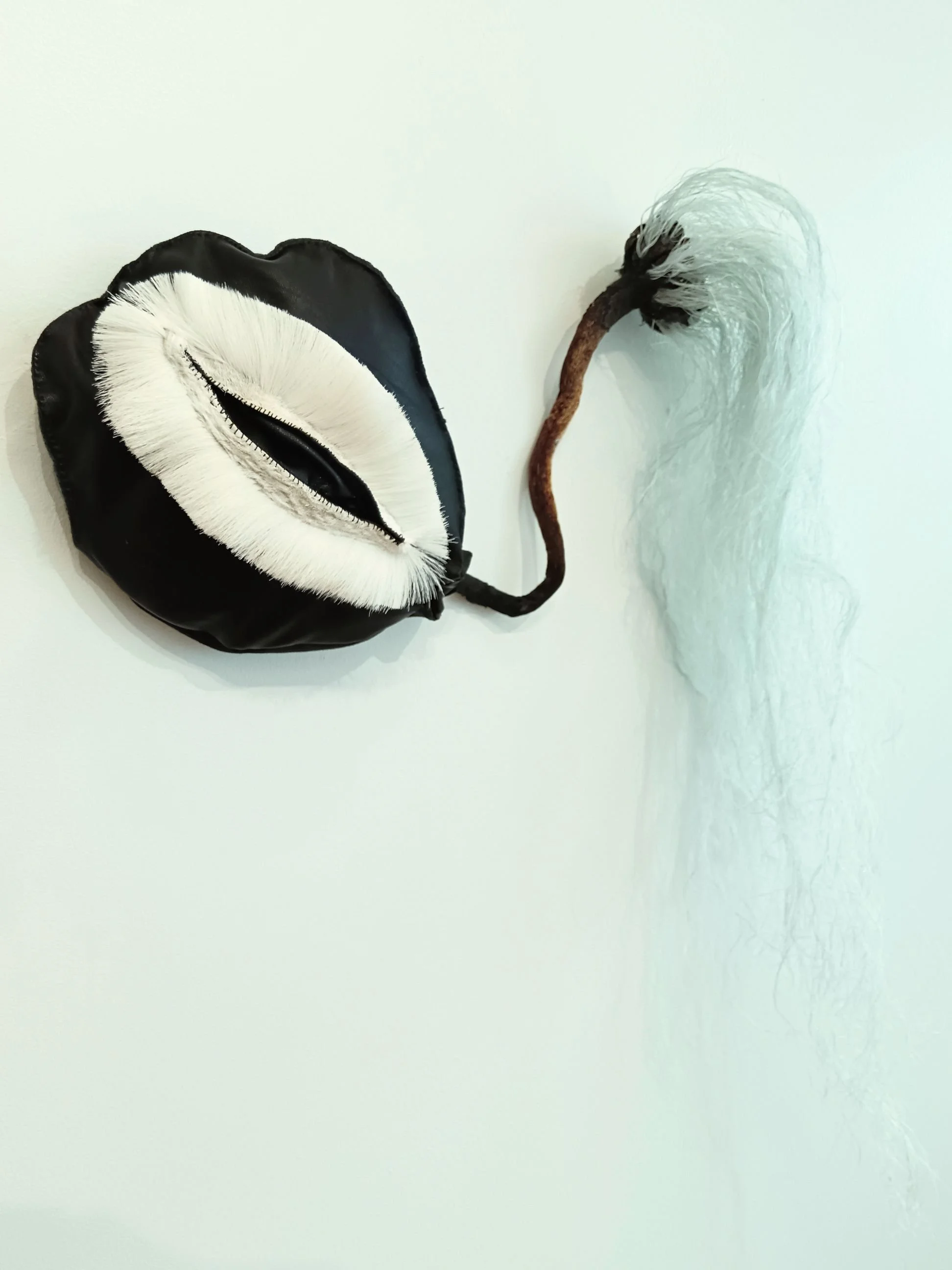   VAELTAJA / WANDERER   2026  nahka, porontalja, levä, nylonköysi / leather, reindeer hide, algae, nylon rope 
