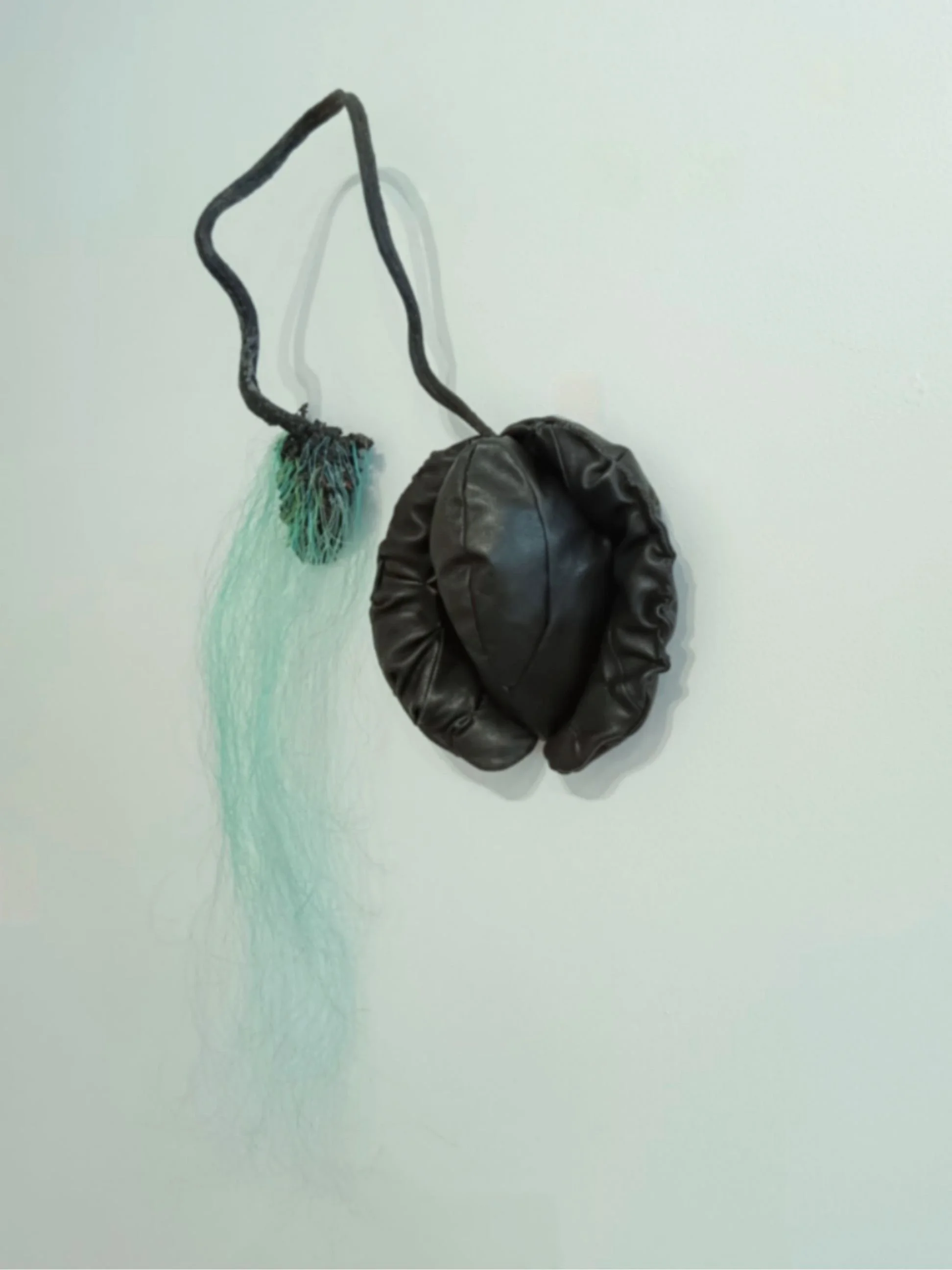   VAELTAJA / WANDERER   2026  nahka, levä, nylonköysi / leather, algae, nylon rope 