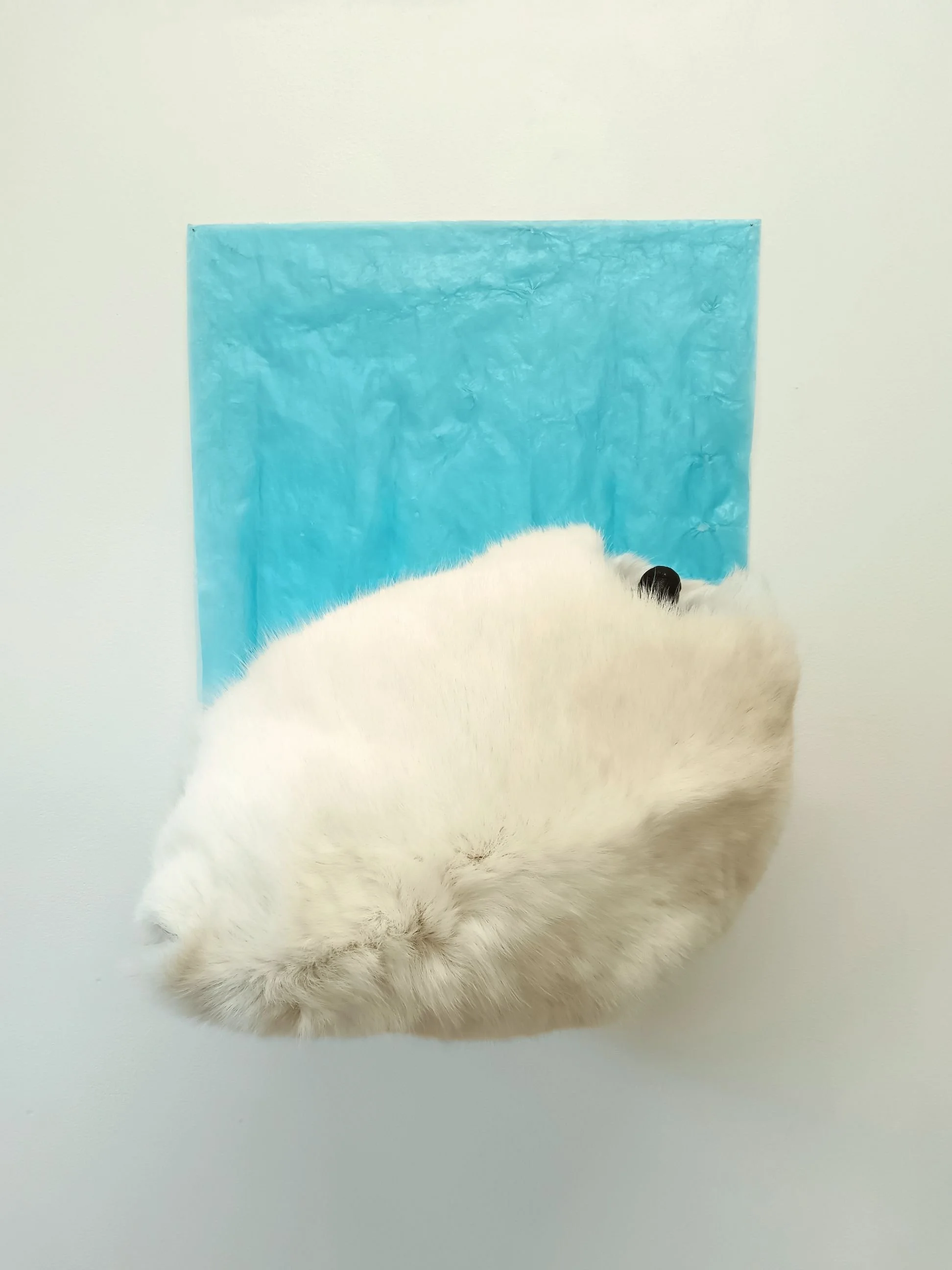   ÄITI MEIDÄN, JOKA OLET MAASSA JA TAIVAISSA / OUR MOTHER, WHO ART IN EARTH AND IN HEAVEN   2026  poronvuota, nahka, merenrannalta löytynyt muovinpala / reindeer hide, leather, a piece of plastic found on the seashore 